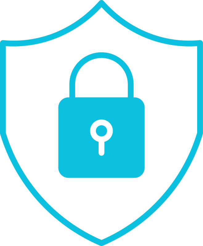 cybersecurity icon